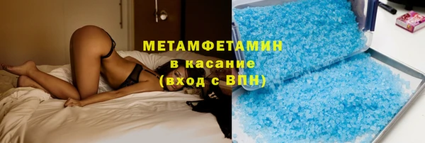 шишки Абаза