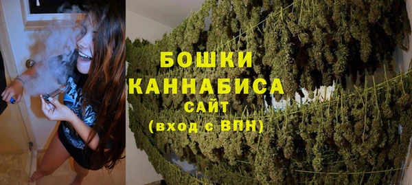 шишки Абаза