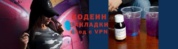 шишки Абаза