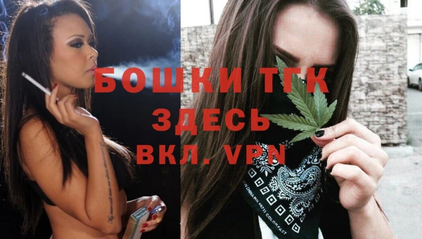 шишки Абаза