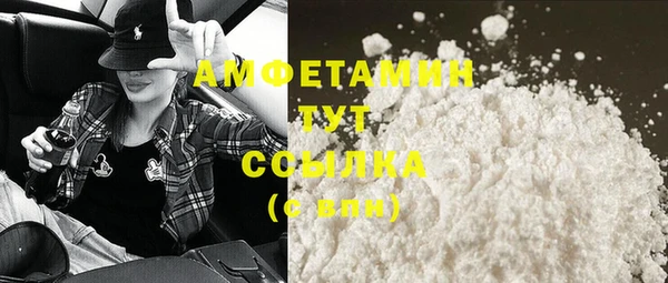 шишки Абаза